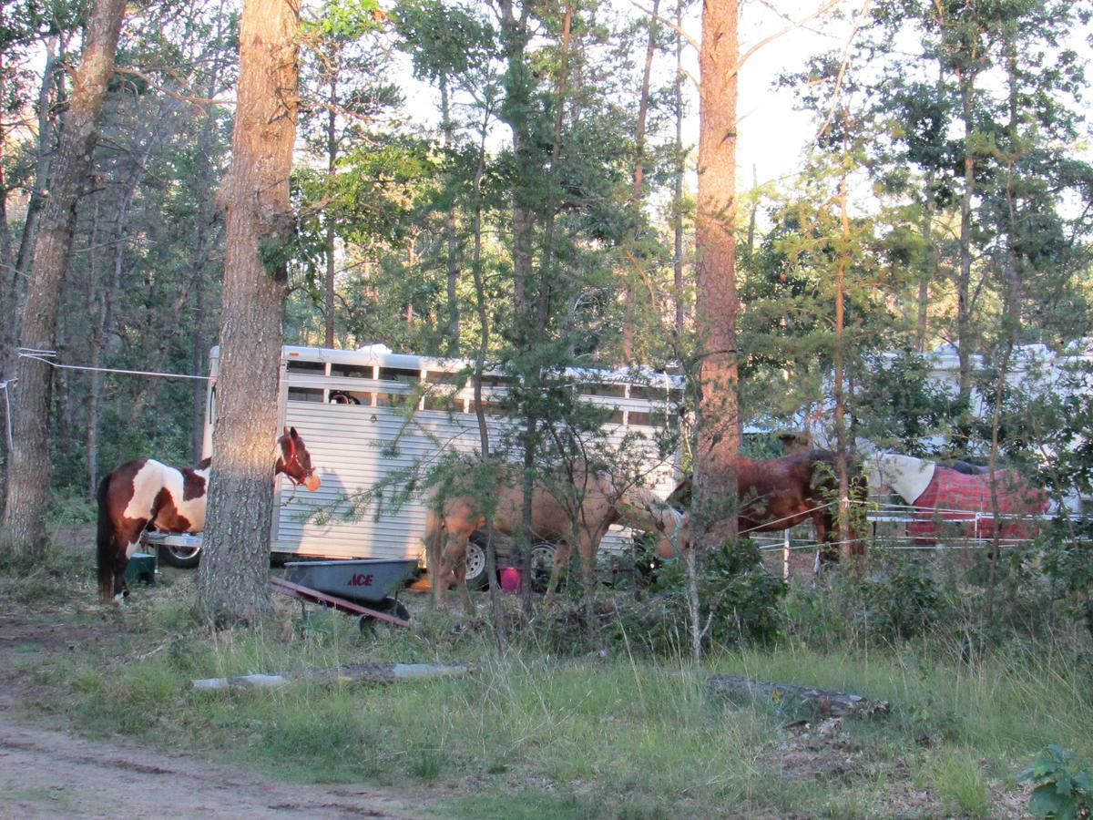 Best Bear Lodge & Campground Irons Eksteriør billede