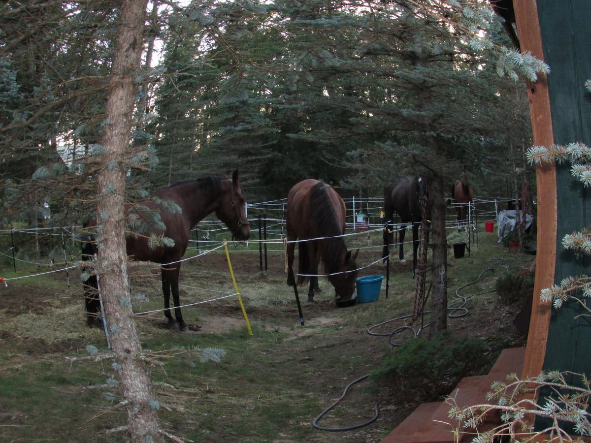 Best Bear Lodge & Campground Irons Eksteriør billede